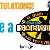Cyber-Survivor