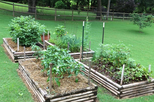 Gardening Ideas For Beginners 10 Tips On Vegetable Gardening For