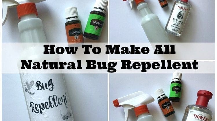 How to Make Natural Insect Repellent That Works
