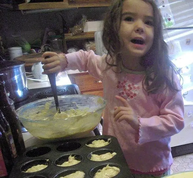 recipe pumpkin chocolate chip muffins