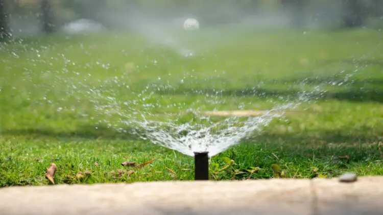 water wisely