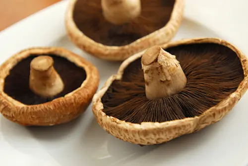 portobello-caps