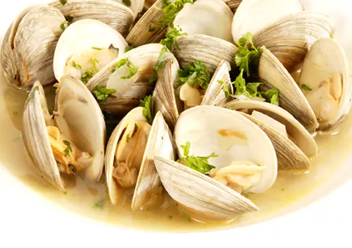 steamed-clams