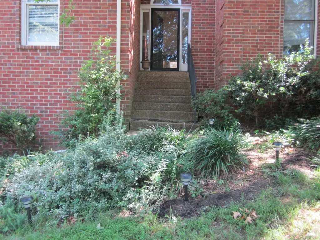 solar pathway lighting / Family Focus Blog