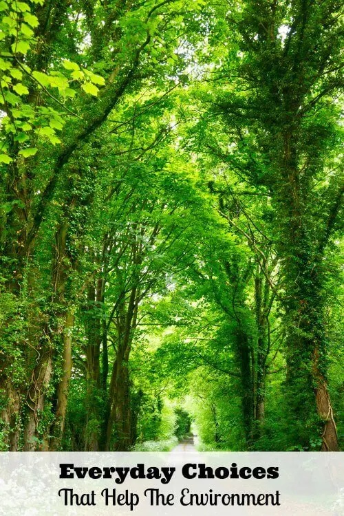 green choices that help the environment