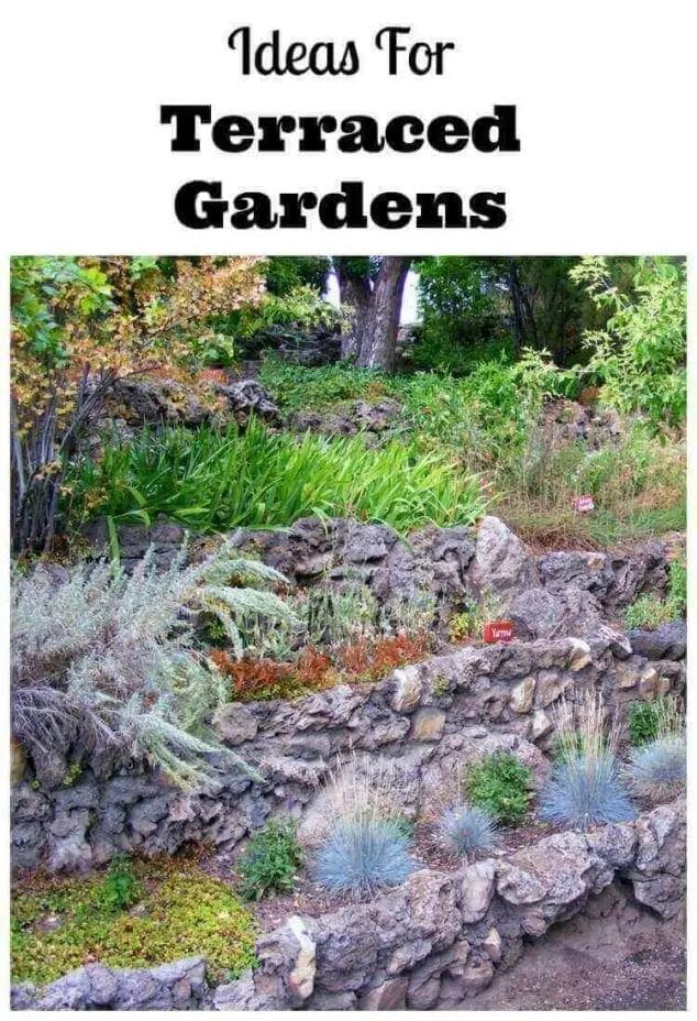 Terraced Gardens