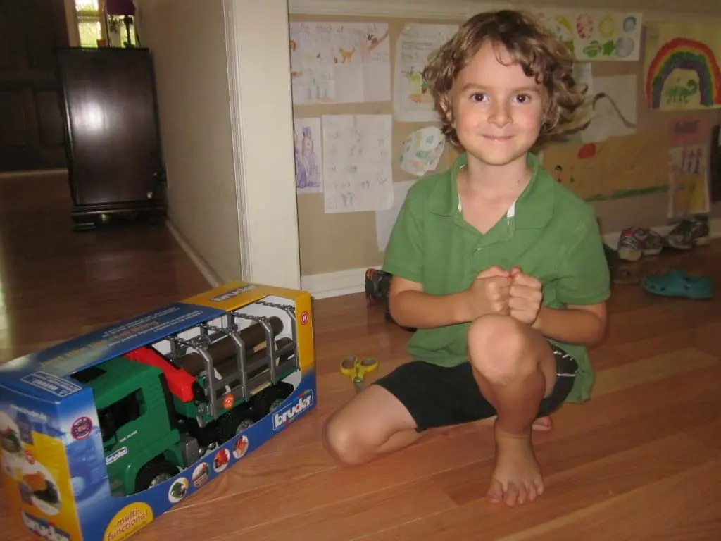 Bruder Timber Truck in Box