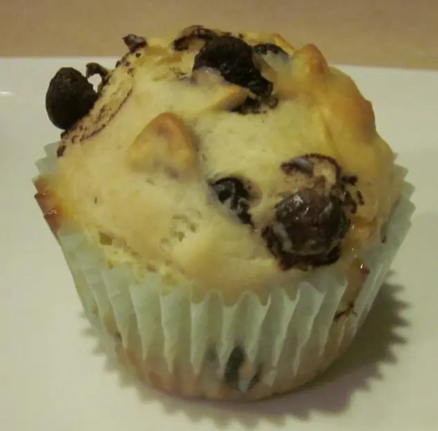 chocolate chip sour cream muffin