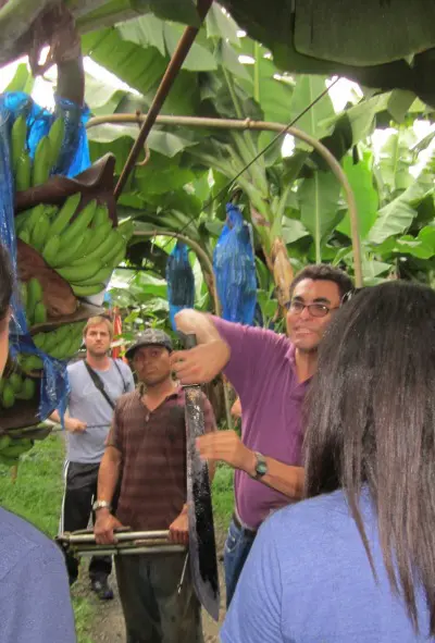 banana machete safety / Family Focus Blog