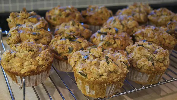 carrot pecan muffins / Family Focus Blog