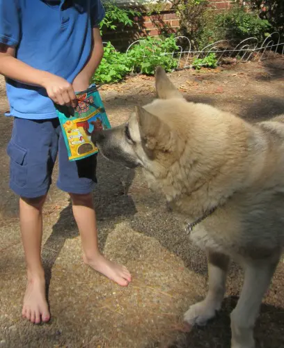 Zuke's natural dog treats