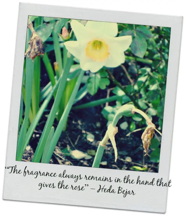 Fragrance Quote
