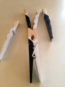 Bride Groom reunited Clothespins
