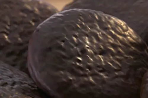 detail_lebkuchensorten_oblaten