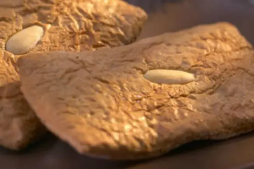 detail_lebkuchensorten_weisse_lebkuchen