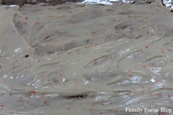 Peppermint Fudge