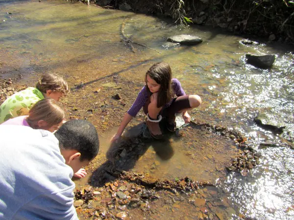 explore a creek