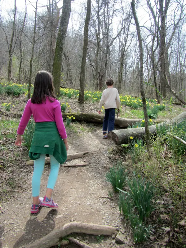 fun outdoor activities hiking