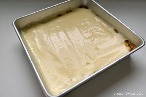 American Flag Inspired Cheesecake Squares