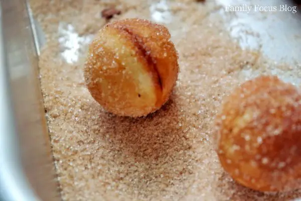 Cinnamon Sugar Donut Holes