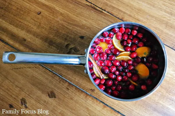 Stove Top Holiday Potpourri