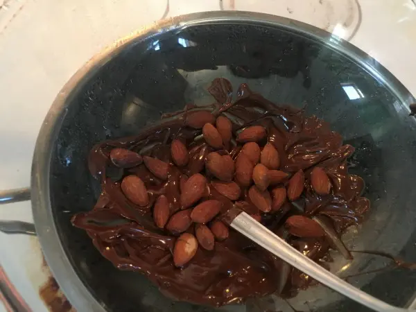 chocolate covered almonds