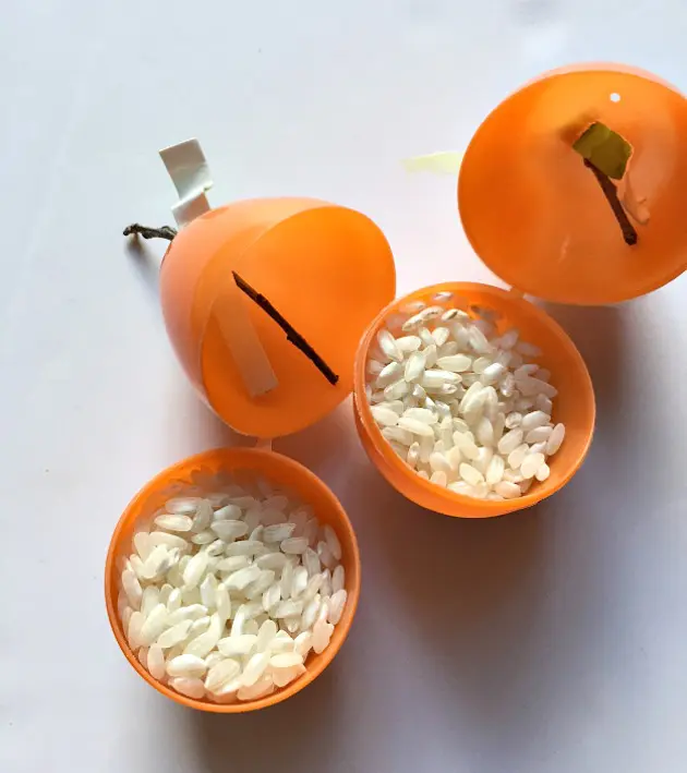 pumpkin shaker5