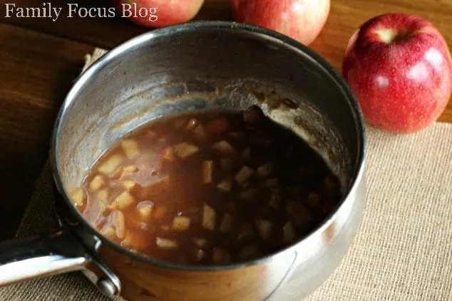 Homemade Apple Pie Filling Recipe