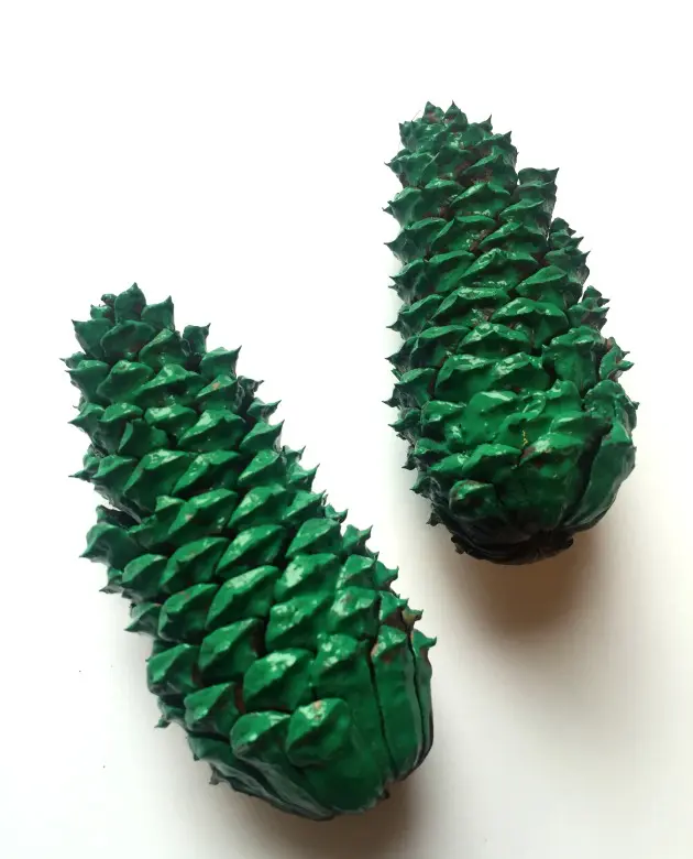 painted pine cones