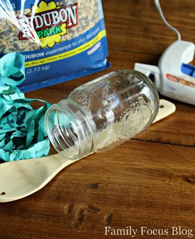 Bird Feeder Mason Jar