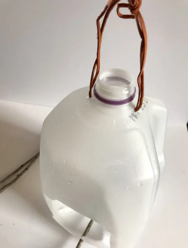 make a Milk Jug Bird Feeder