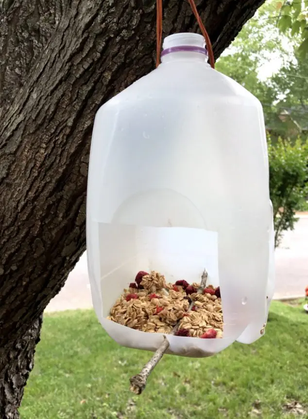 Easy Plastic Milk Jug Bird Feeder