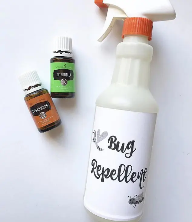 natural mosquito repellent recipe