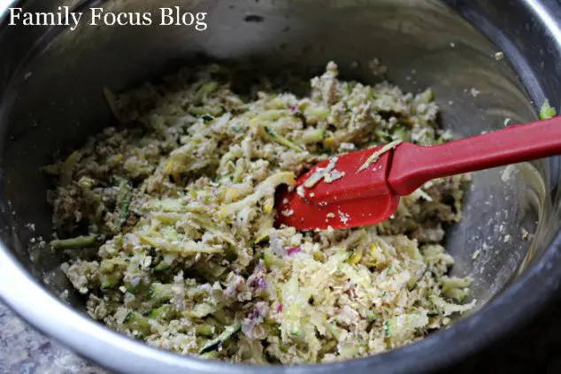 Zucchini and Squash Fritters