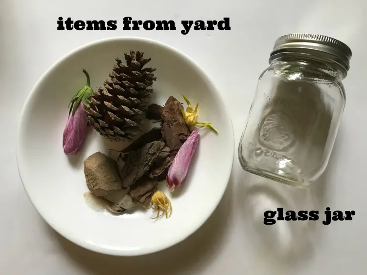 nature activity for kids