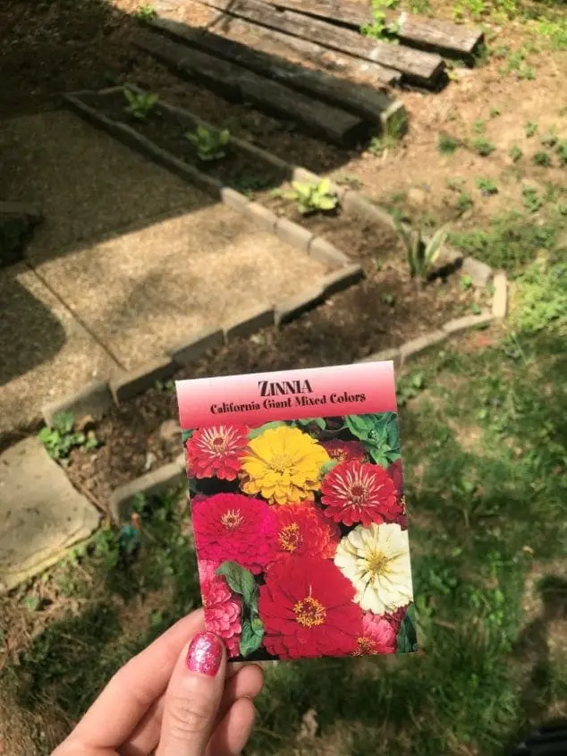 planting flower seeds