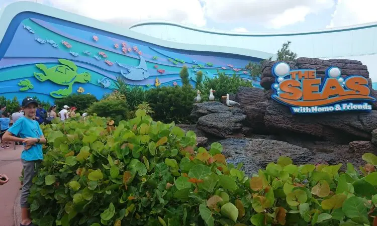the seas with nemo & friends