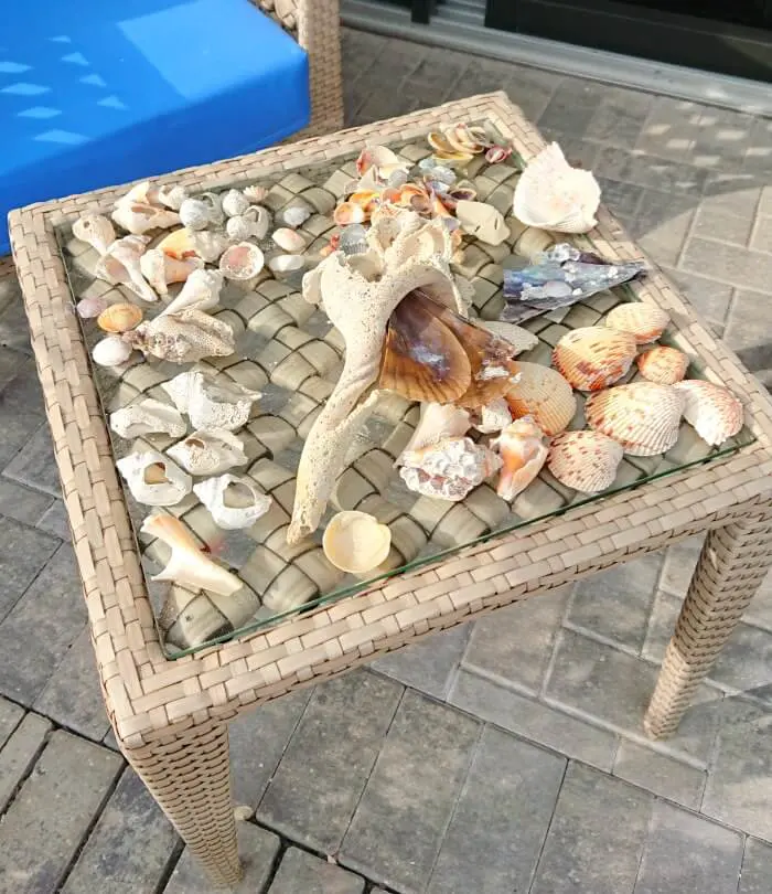 anna maria island shells