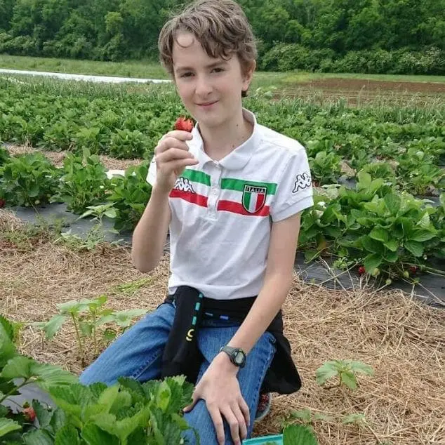 strawberries