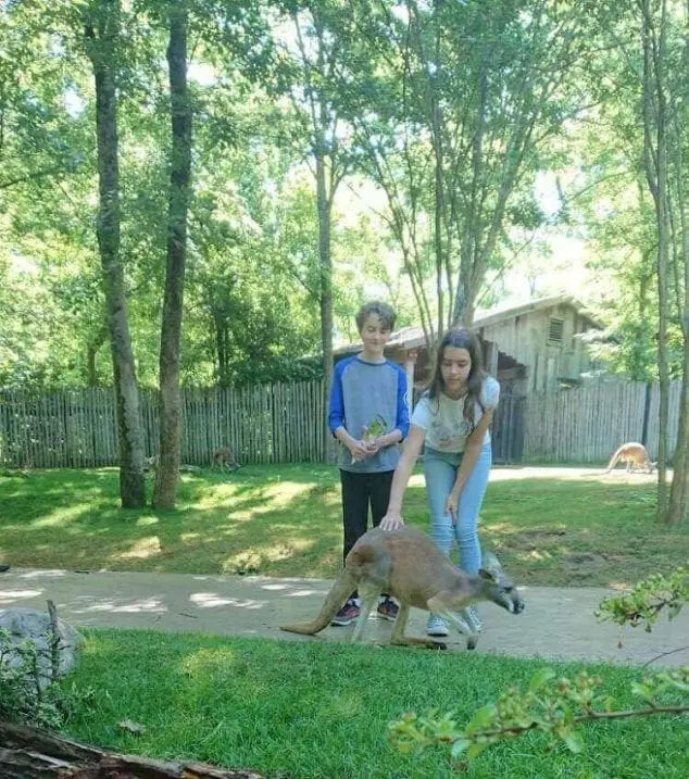 Nashville Zoo Kangaroo Exhibit