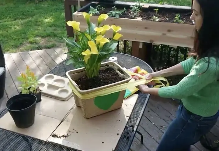 Igloo Recool Reuse