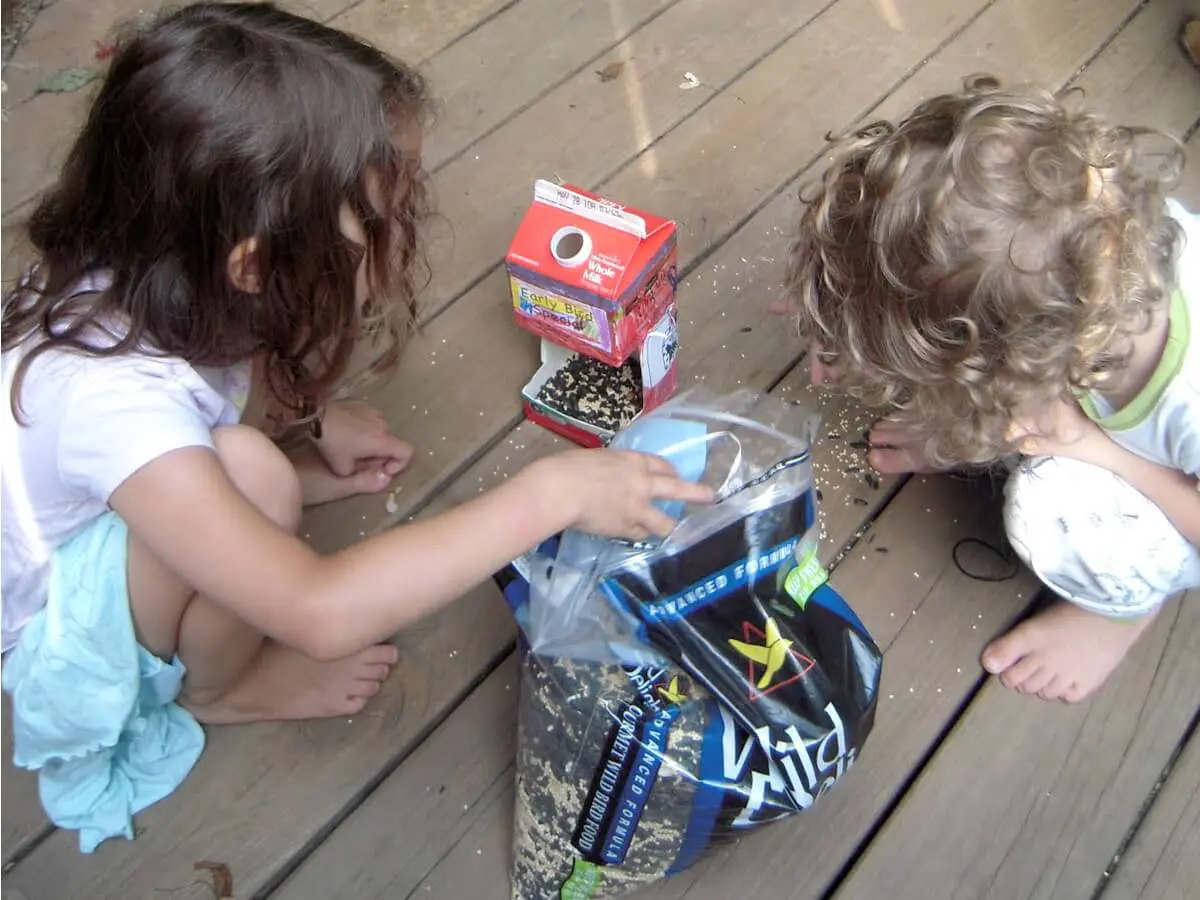 milk carton bird feeder instructions