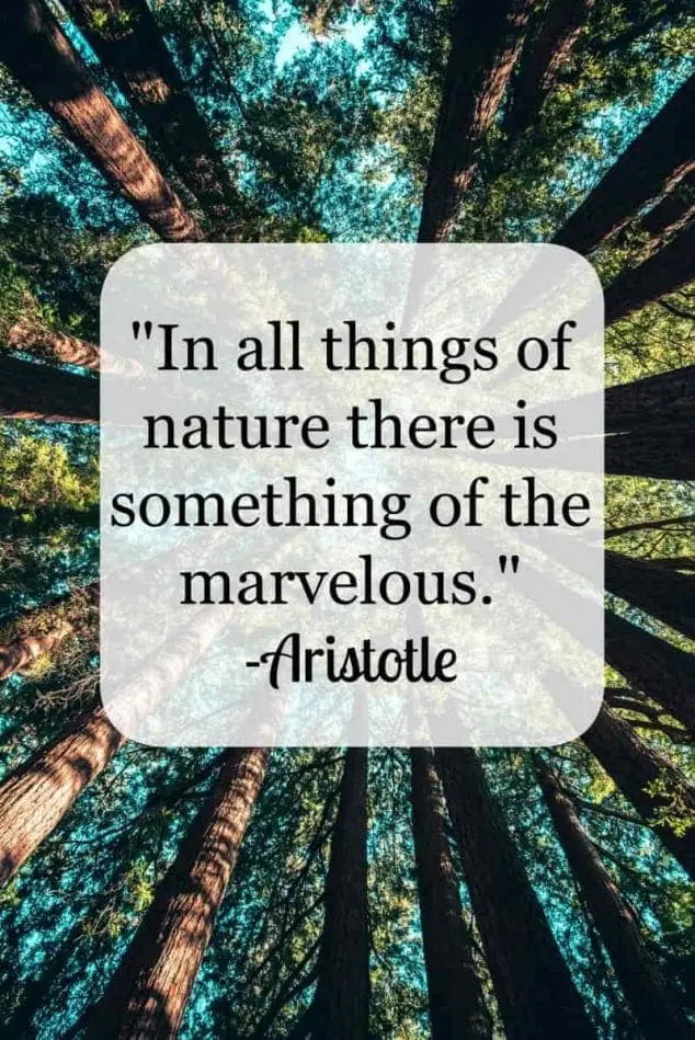nature quote