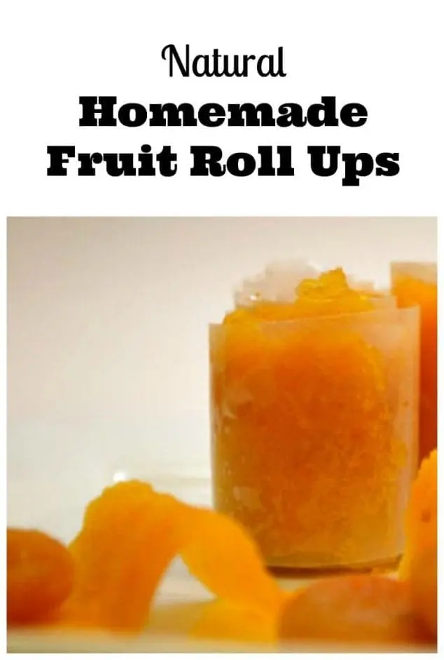 homemade fruit roll ups