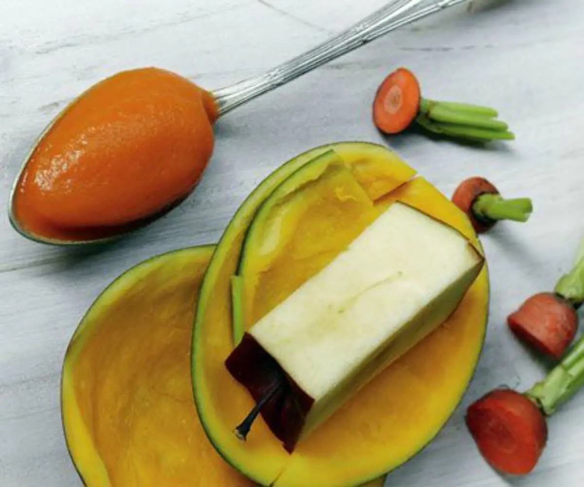 apple baby food recipe