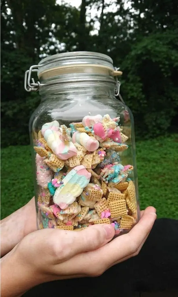 edible unicorn craft