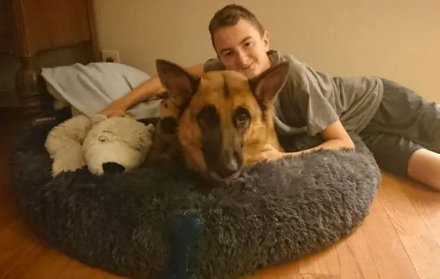 new puppy care