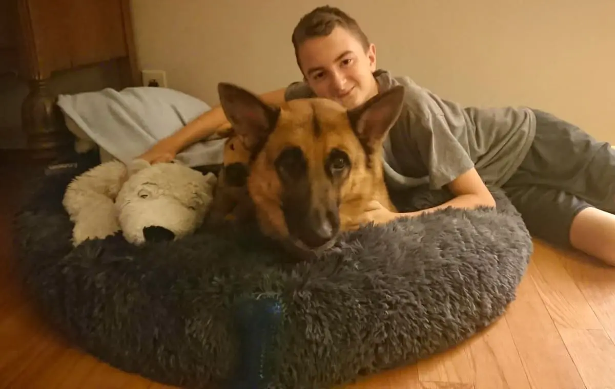 new puppy care