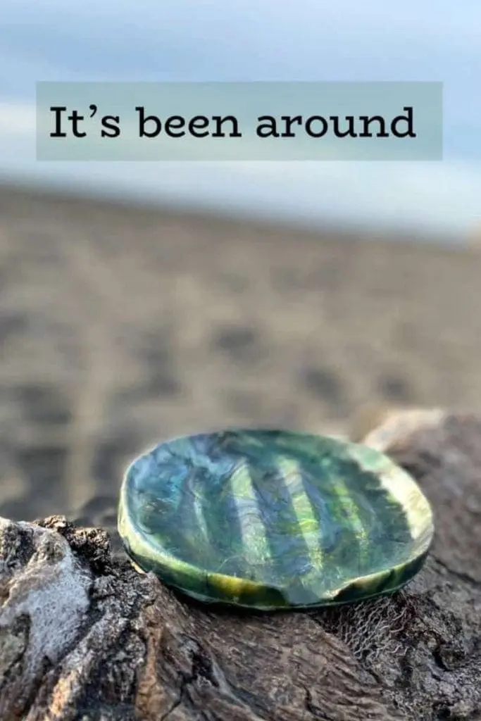 products made from recycle plastic bottles