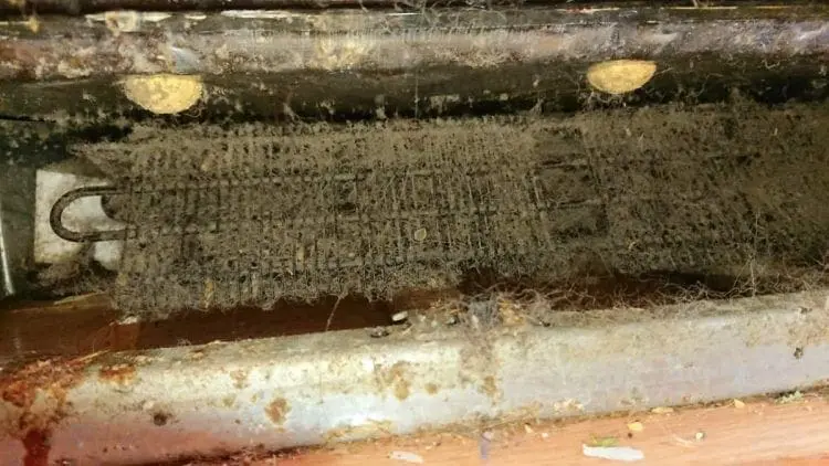 how to clean refrigerator coils
